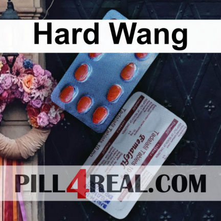 Hard Wang 868