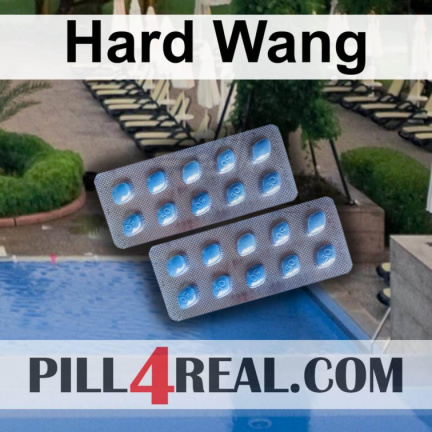Hard Wang 883