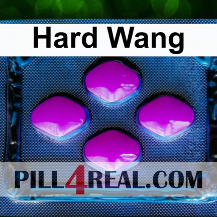 Hard Wang 910