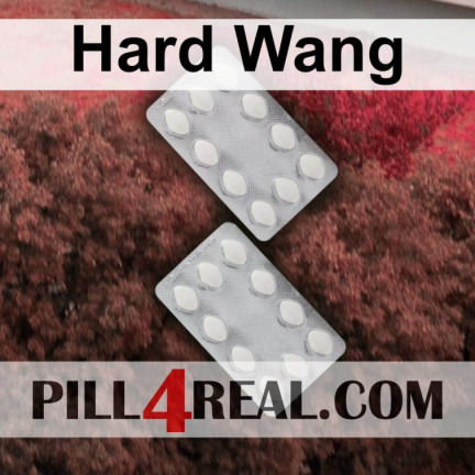 Hard Wang 961