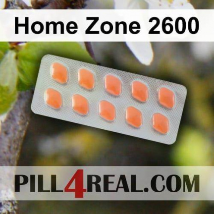 Home Zone 2600 399