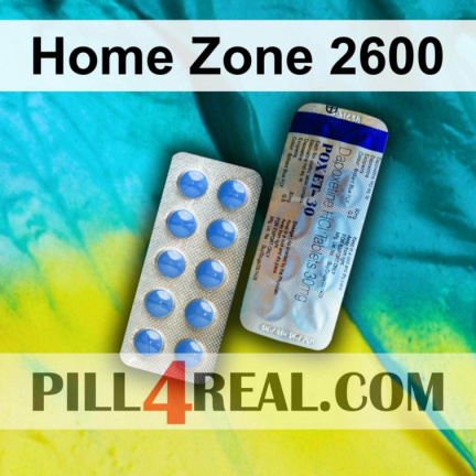 Home Zone 2600 480