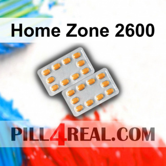 Home Zone 2600 495