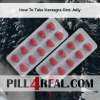 How To Take Kamagra Oral Jelly 864