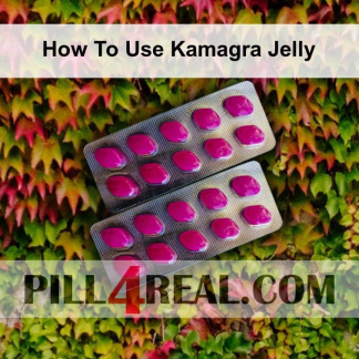 How To Use Kamagra Jelly 257
