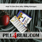 How To Use Oral Jelly 100Mg Kamagra 588