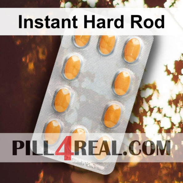 Instant Hard Rod 310