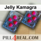 Jelly Kamagra 244