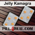 Jelly Kamagra 473