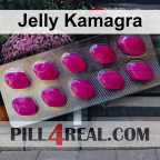 Jelly Kamagra 479