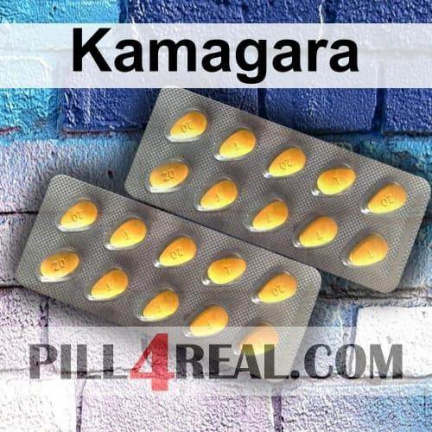 Kamagara 206