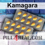 Kamagara 206