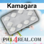 Kamagara 313