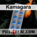 Kamagara 376