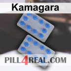 Kamagara 441