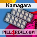 Kamagara 490