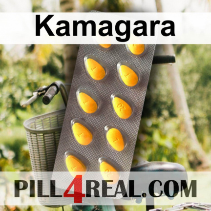 Kamagara 509