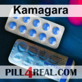 Kamagara 847