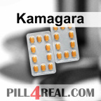 Kamagara 880