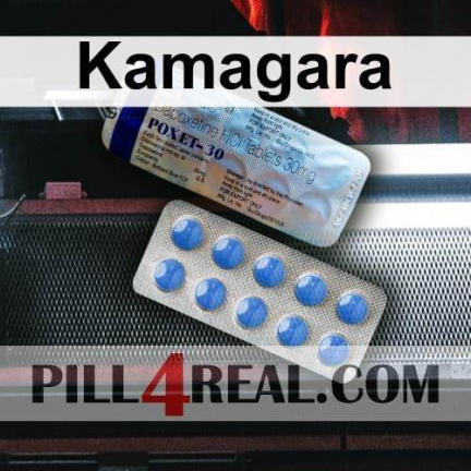 Kamagara 975