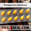 Kamagra-Oral-Jelly-Brand 134