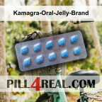 Kamagra-Oral-Jelly-Brand 236