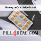Kamagra-Oral-Jelly-Brand 817