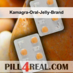 Kamagra-Oral-Jelly-Brand 960
