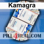 Kamagra 241
