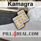 Kamagra 301