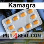 Kamagra 740