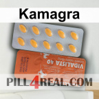Kamagra 838
