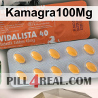 Kamagra100Mg 206