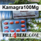 Kamagra100Mg 574