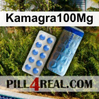 Kamagra100Mg 770