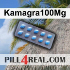 Kamagra100Mg 946