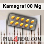 Kamagra100 Mg 246