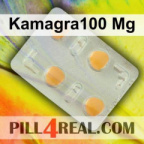 Kamagra100 Mg 312