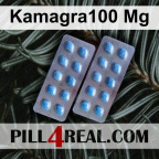 Kamagra100 Mg 599