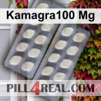 Kamagra100 Mg 753