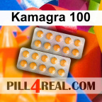 Kamagra 100 021