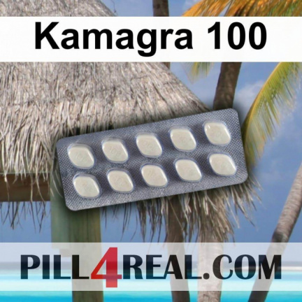 Kamagra 100 032