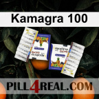 Kamagra 100 112
