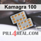 Kamagra 100 137