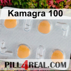 Kamagra 100 159