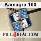 Kamagra 100 313