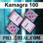 Kamagra 100 405