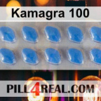 Kamagra 100 407