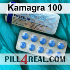 Kamagra 100 440