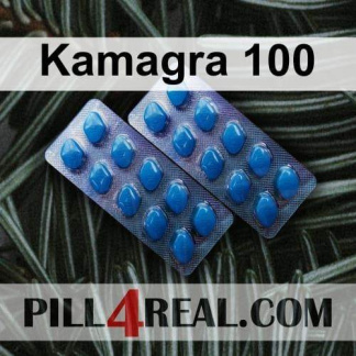 Kamagra 100 611